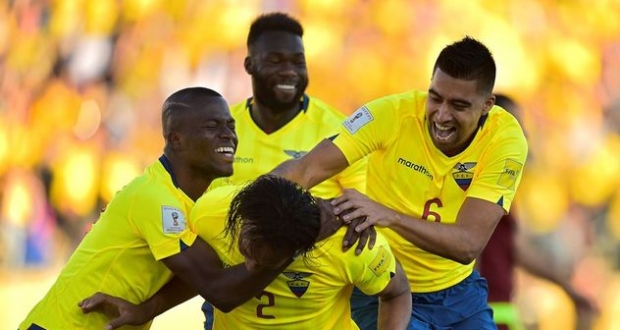 Ликование игроков сборной Эквадора, AFP